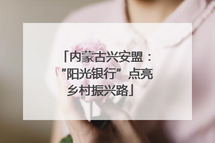 内蒙古兴安盟：“阳光银行”点亮乡村振兴路
