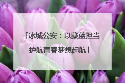 冰城公安：以藏蓝担当 护航青春梦想起航