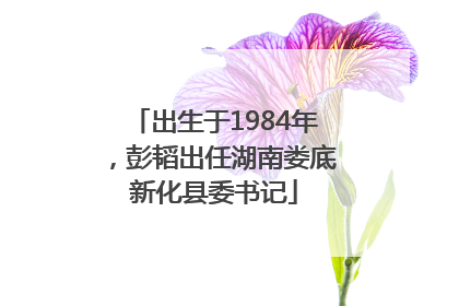 出生于1984年，彭韬出任湖南娄底新化县委书记