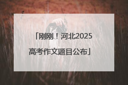 刚刚！河北2025高考作文题目公布