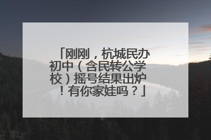 刚刚，杭城民办初中（含民转公学校）摇号结果出炉！有你家娃吗？