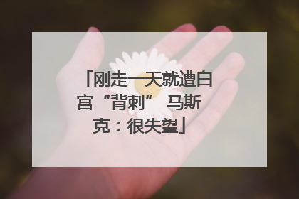 刚走一天就遭白宫“背刺” 马斯克：很失望