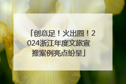 创意足！火出圈！2024浙江年度文旅宣推案例亮点纷呈