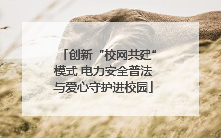 创新“校网共建”模式 电力安全普法与爱心守护进校园