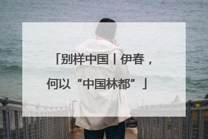 别样中国丨伊春，何以“中国林都”