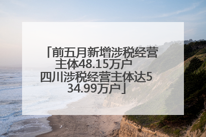 前五月新增涉税经营主体48.15万户 四川涉税经营主体达534.99万户