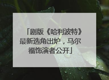 剧版《哈利波特》最新选角出炉，马尔福饰演者公开