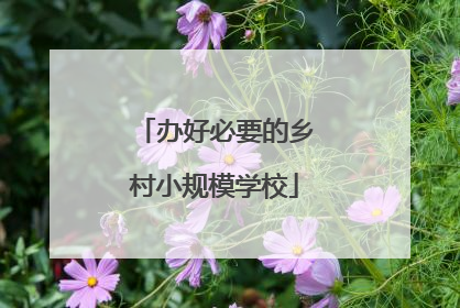 办好必要的乡村小规模学校