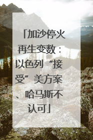 加沙停火再生变数：以色列“接受”美方案、哈马斯不认可
