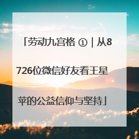 劳动九宫格 ①｜从8726位微信好友看王星苹的公益信仰与坚持