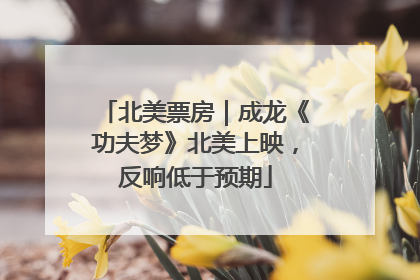 北美票房｜成龙《功夫梦》北美上映，反响低于预期