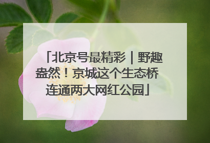 北京号最精彩｜野趣盎然！京城这个生态桥连通两大网红公园