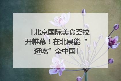 北京国际美食荟拉开帷幕！在北展能“逛吃”全中国