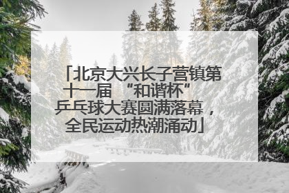 北京大兴长子营镇第十一届 “和谐杯” 乒乓球大赛圆满落幕，全民运动热潮涌动