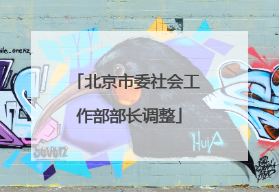 北京市委社会工作部部长调整