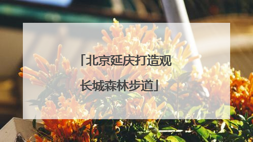 北京延庆打造观长城森林步道
