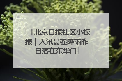 北京日报社区小板报｜入汛最强降雨昨日落在东华门