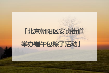 北京朝阳区安贞街道举办端午包粽子活动