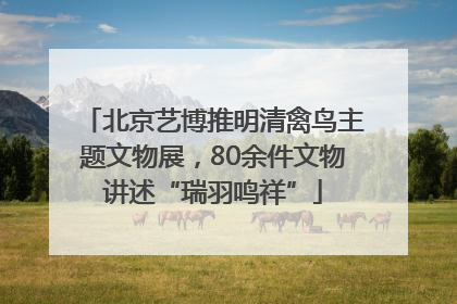 北京艺博推明清禽鸟主题文物展，80余件文物讲述“瑞羽鸣祥”