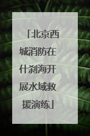 北京西城消防在什刹海开展水域救援演练