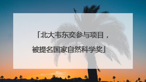 北大韦东奕参与项目，被提名国家自然科学奖