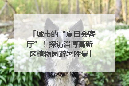 城市的“夏日会客厅”！探访淄博高新区植物园避暑胜景