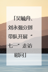 吴毓舟、刘永强分别带队开展“七一”走访慰问