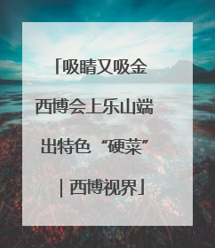 吸睛又吸金 西博会上乐山端出特色“硬菜”｜西博视界