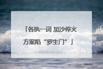 各执一词 加沙停火方案陷“罗生门”