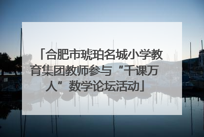 合肥市琥珀名城小学教育集团教师参与“千课万人”数学论坛活动