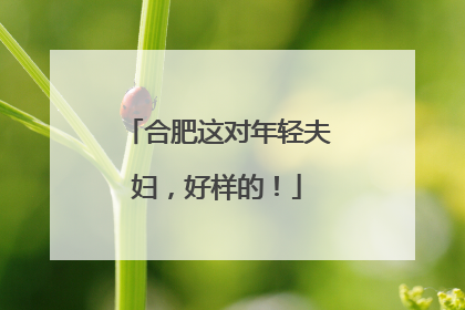 合肥这对年轻夫妇，好样的！