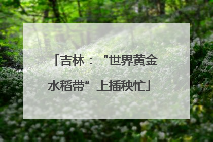 吉林：“世界黄金水稻带”上插秧忙