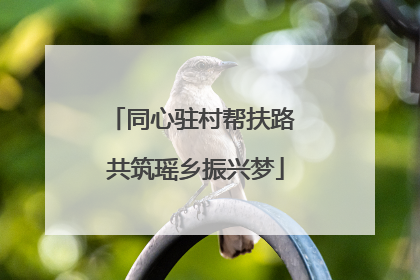 同心驻村帮扶路 共筑瑶乡振兴梦
