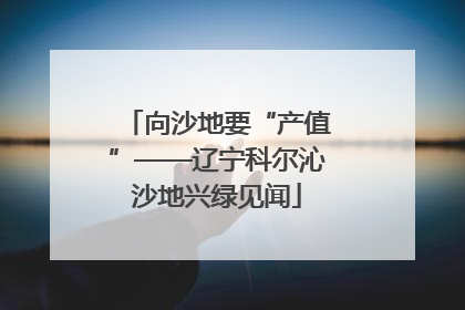 向沙地要“产值”——辽宁科尔沁沙地兴绿见闻