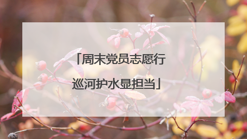 周末党员志愿行 巡河护水显担当