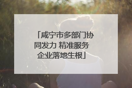 咸宁市多部门协同发力 精准服务企业落地生根