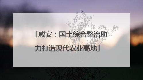 咸安：国土综合整治助力打造现代农业高地
