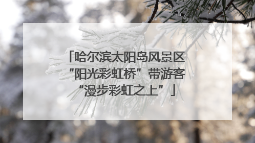 哈尔滨太阳岛风景区“阳光彩虹桥”带游客“漫步彩虹之上”