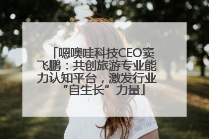 嗯噢哇科技CEO窦飞鹏：共创旅游专业能力认知平台，激发行业“自生长”力量