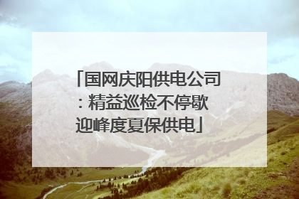 国网庆阳供电公司：精益巡检不停歇 迎峰度夏保供电