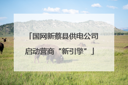 国网新蔡县供电公司启动营商“新引擎”