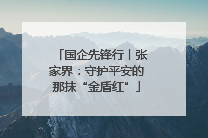 国企先锋行丨张家界：守护平安的那抹“金盾红”