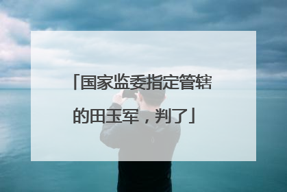国家监委指定管辖的田玉军，判了