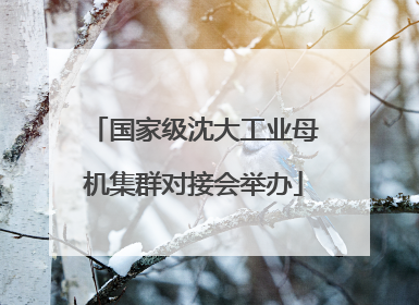 国家级沈大工业母机集群对接会举办