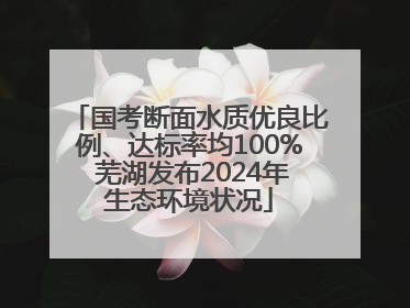 国考断面水质优良比例、达标率均100% 芜湖发布2024年生态环境状况
