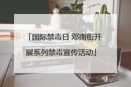 国际禁毒日 邓南街开展系列禁毒宣传活动