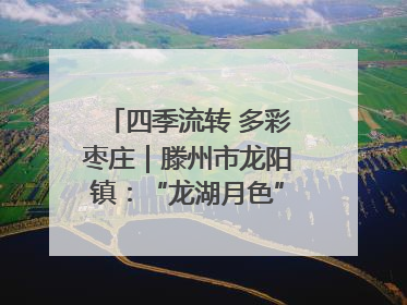 四季流转 多彩枣庄｜滕州市龙阳镇：“龙湖月色”向日葵花海 绘就乡村振兴新画卷
