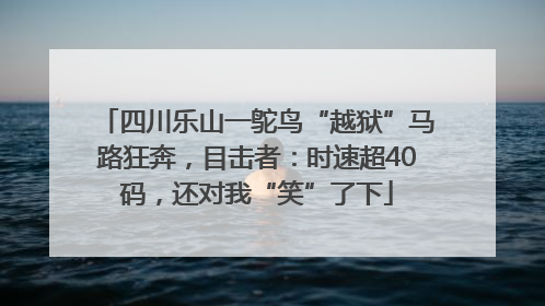 四川乐山一鸵鸟“越狱”马路狂奔，目击者：时速超40码，还对我“笑”了下