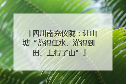 四川南充仪陇：让山塘“蓄得住水、灌得到田、上得了山”