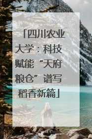 四川农业大学：科技赋能“天府粮仓”谱写稻香新篇